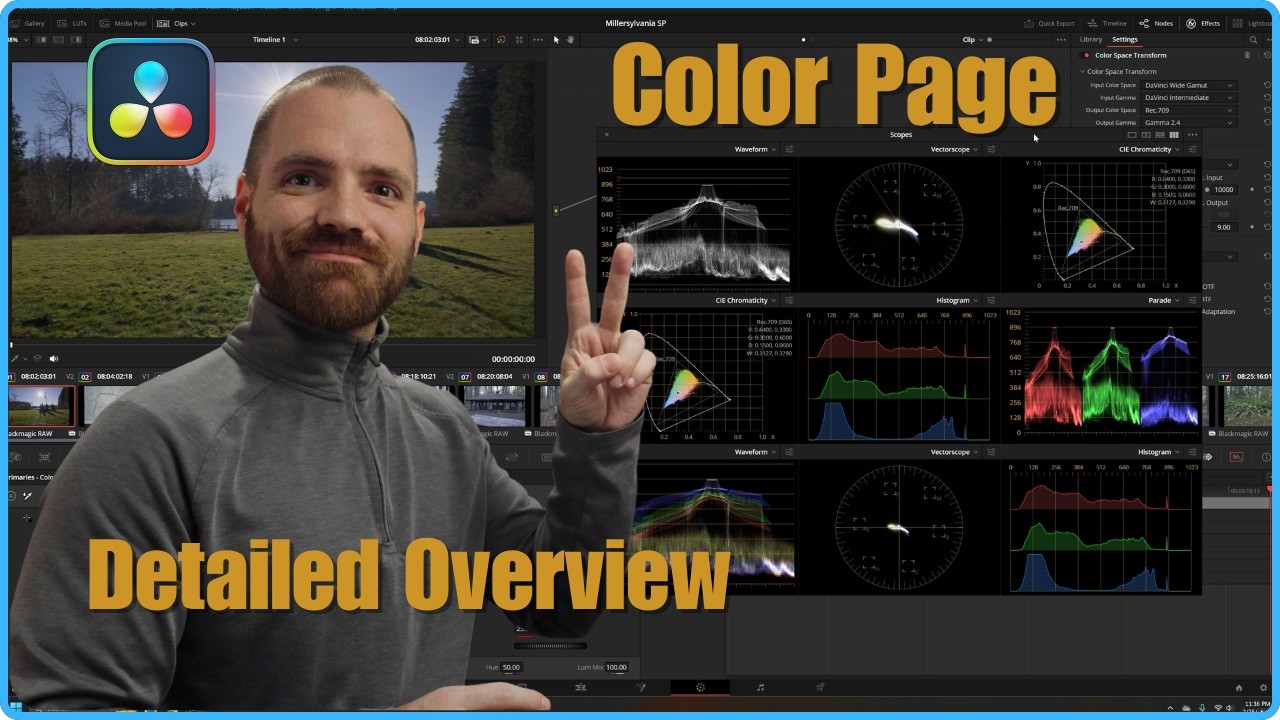 PRO Color Page Settings & Options - Davinci Resolve 2025