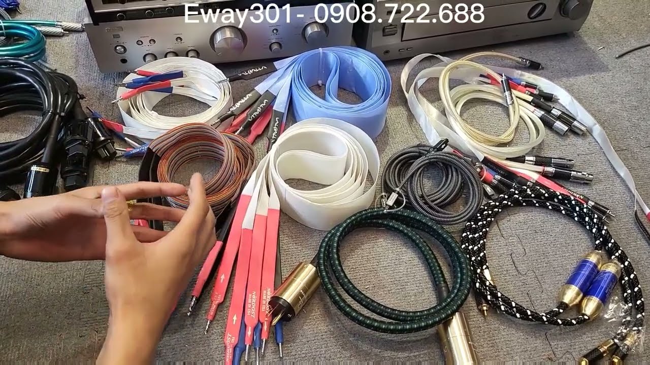 D&acirc;y loa, D&acirc;y t&iacute;n hiệu, D&acirc;y Nguồn, D&acirc;y N&agrave;o Quan Trọng Hơn, Xem Để Biết