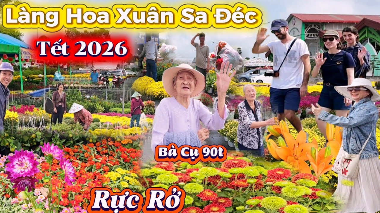 Bùng Nổ Hoa xuân Bính Ngọ Sa Đéc Đồng Tháp rực rở Chào đón Tết 2026 hàng ngàn loại hoa khoe sắc 