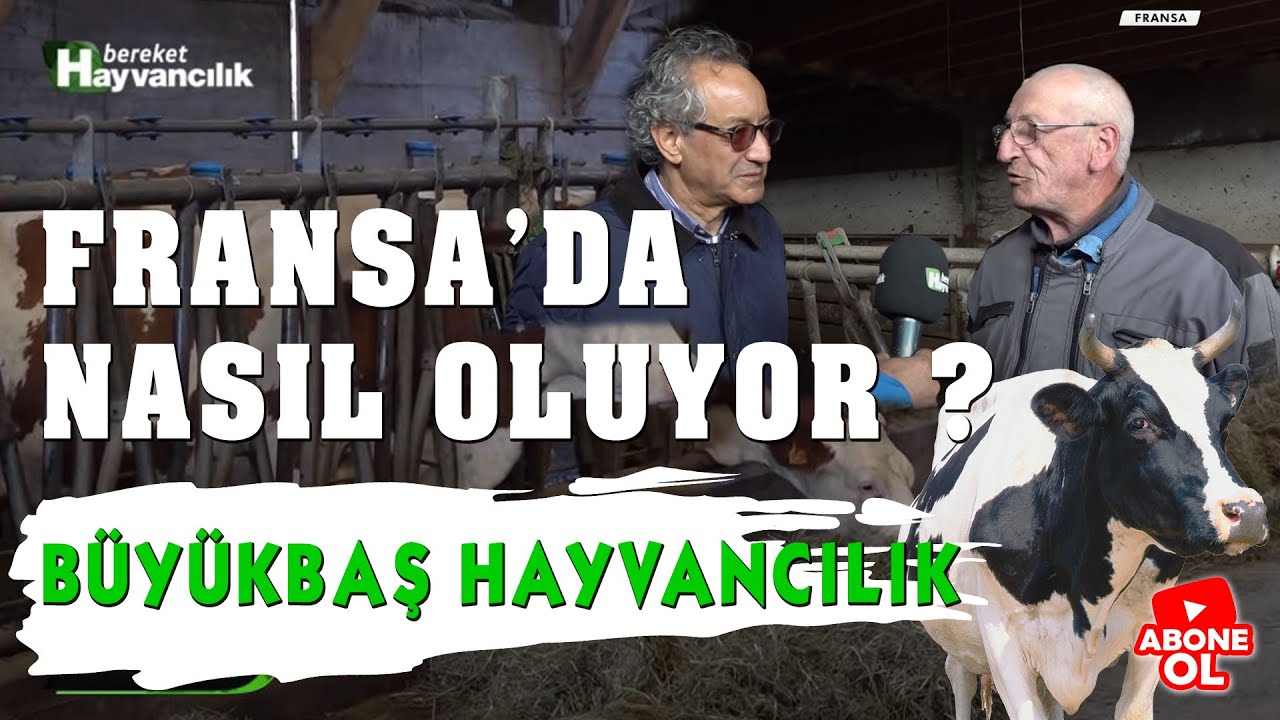 Hayvancılık Rehberi - Fransa'da Aile İşletmesini Ziyaret Ediyoruz  / 1.Bölüm