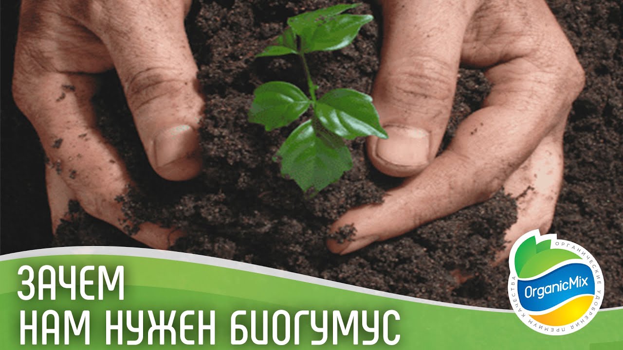 Биогумус - лучшее органическое удобрение / Биогумус от ОрганикМикс