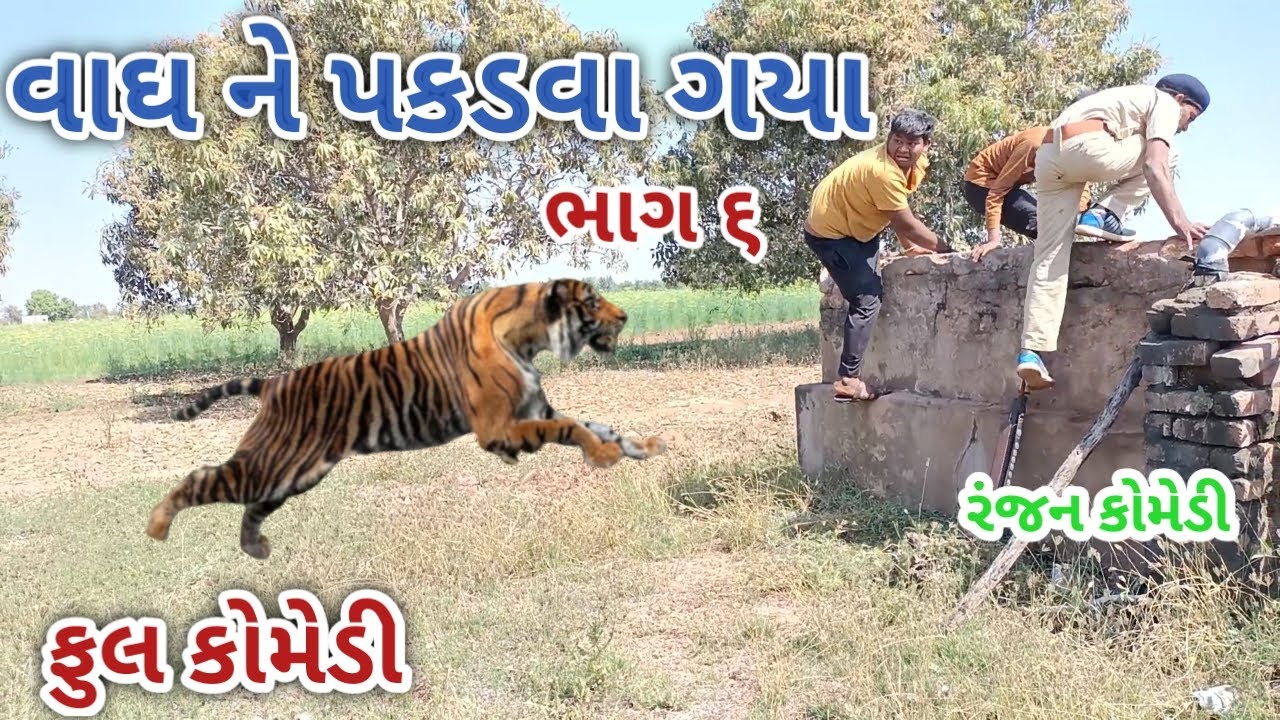 વાઘ ને પકડવા ગયા ભાગ ૬ | ranjan comedy | gujrati comedy | rc comedy