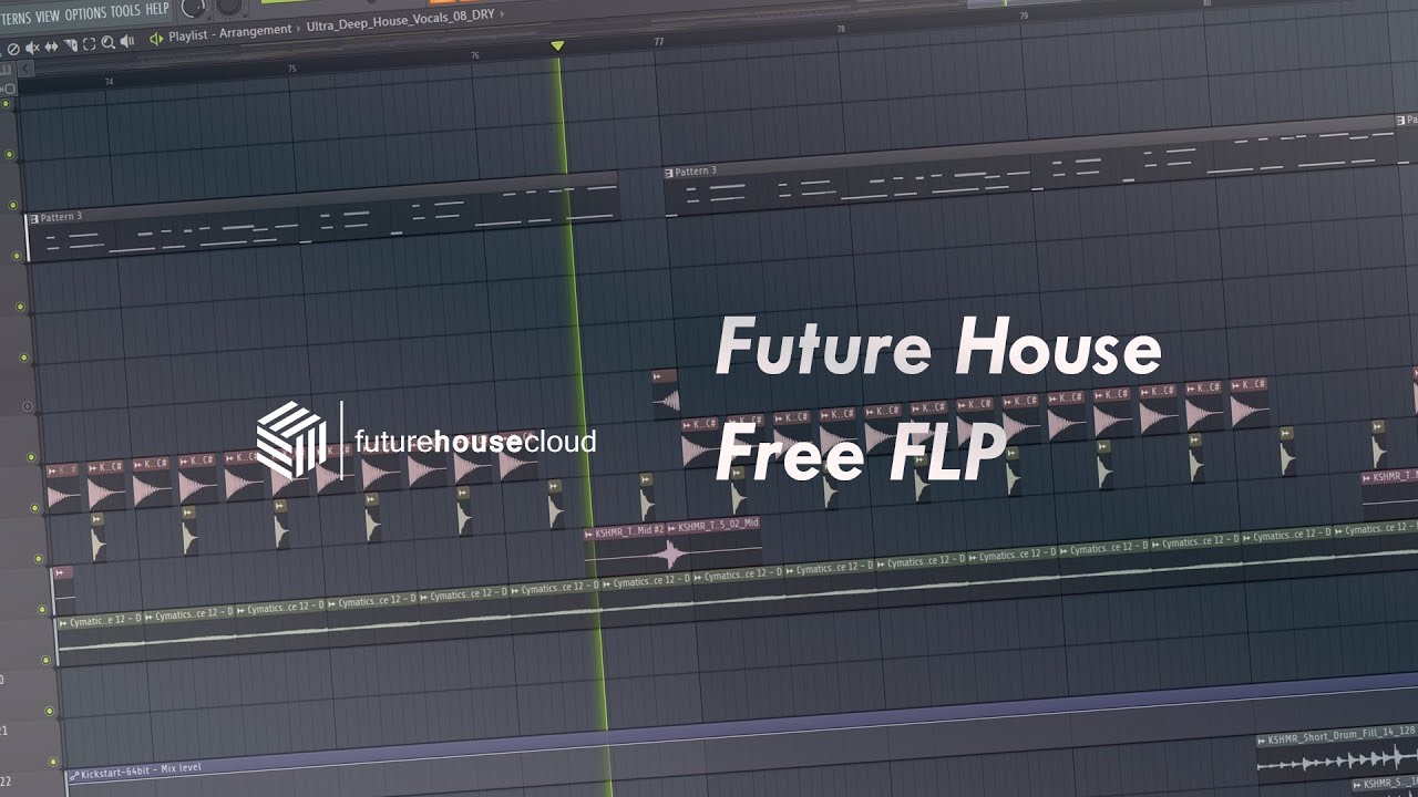 Professional Future House/Bounce (like Mike Williams) Free FLP