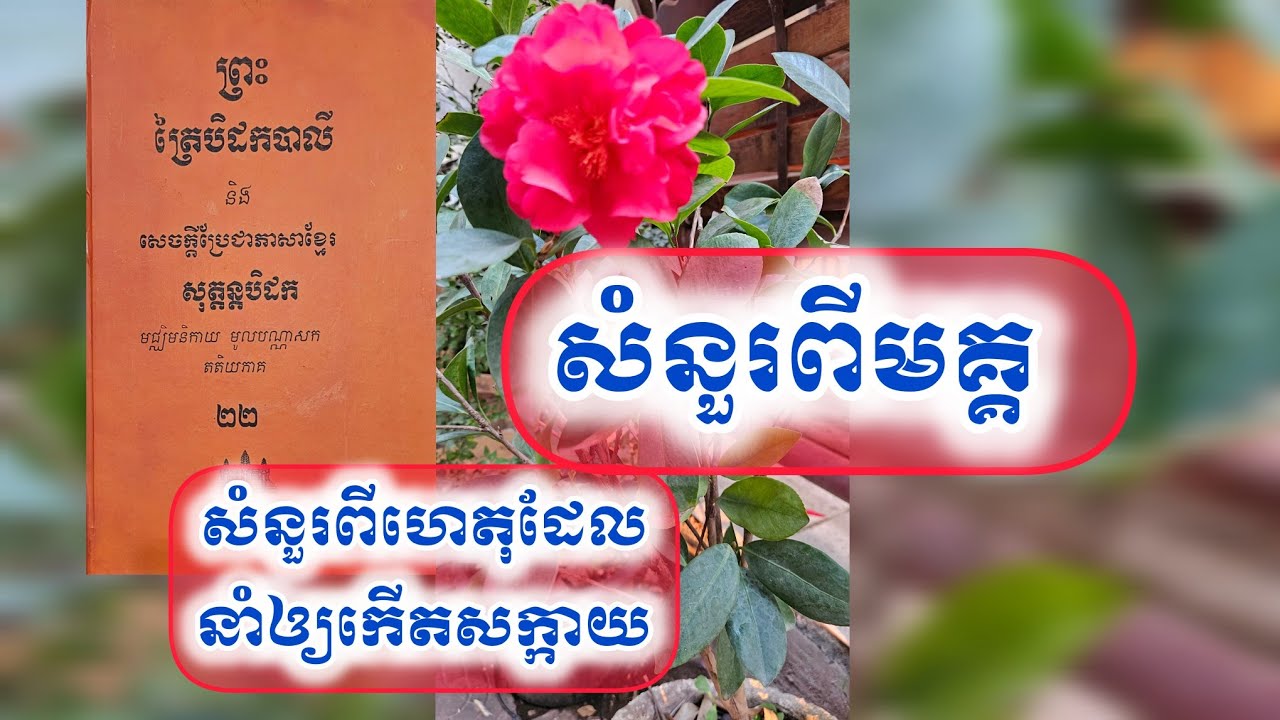ចូឡវេទល្លសូត្រ,សំនួរពីហេតុដែលនាំឲ្យកើតសក្កាយ,សំនួរពីមគ្គ,អានបិ.២២