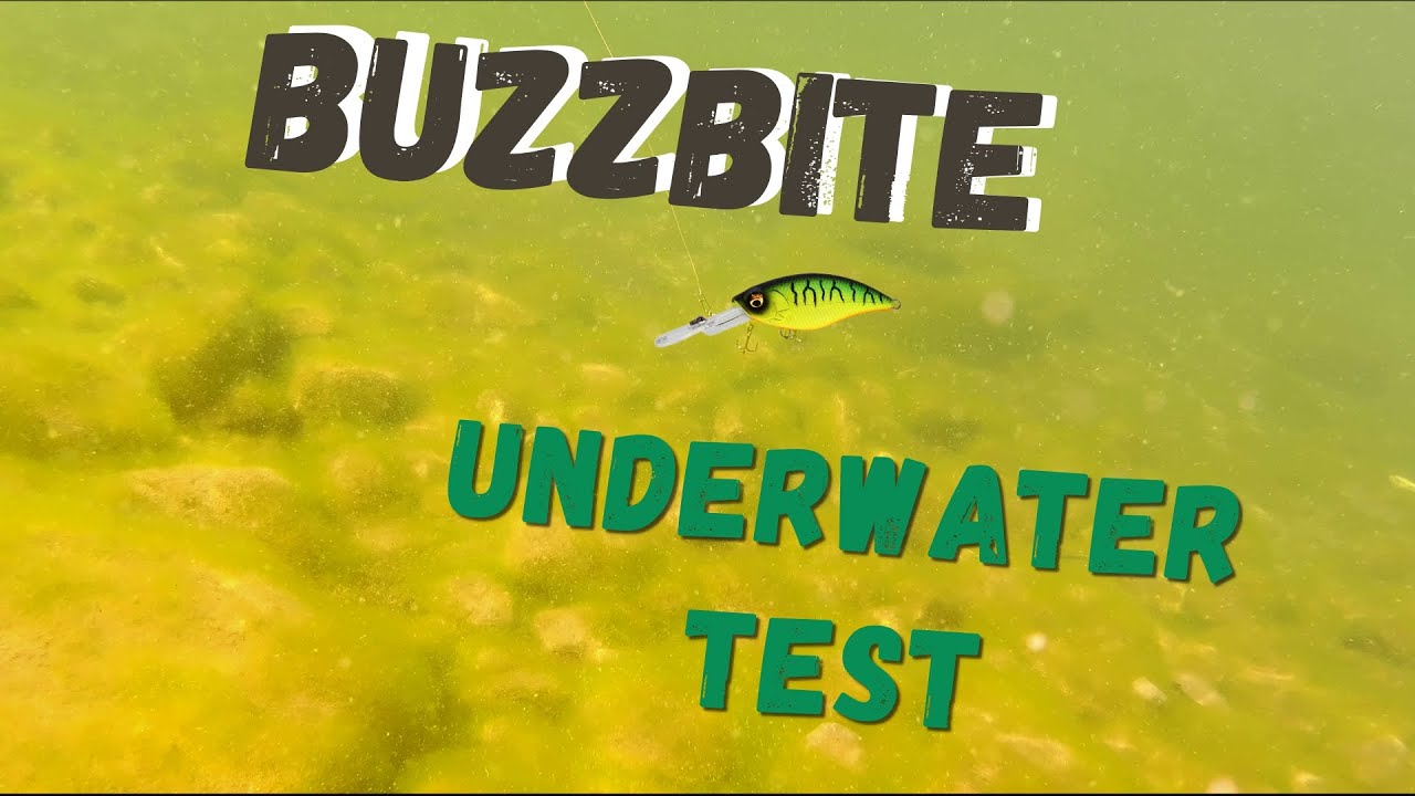 Fishing lure Westin Buzzbite Crankbait/ Underwater test/ Pike/Perch lures