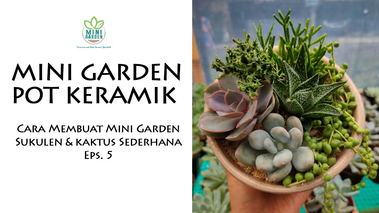 Mini Garden Pot Keramik | Cara Membuat Mini Garden Sukulen dan Kaktus Sederhana Eps. 5