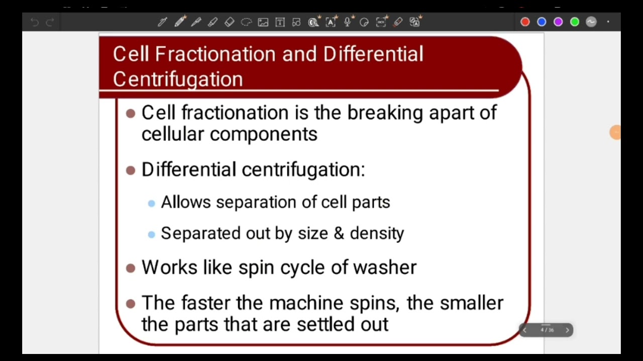 lecture 1 cell biology