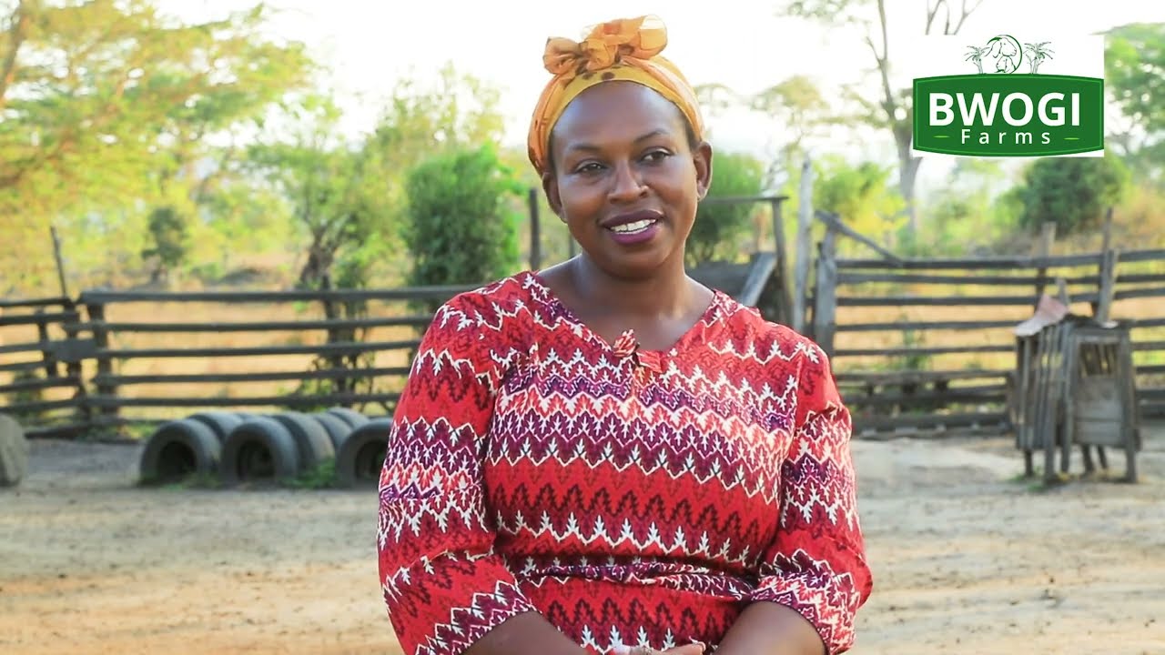 Best Seller Local Goat Breeds in Uganda