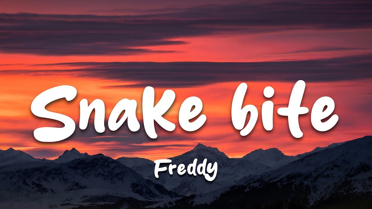 Snake Bite | Lyrics | New English song 2026 #lyrics #music #song