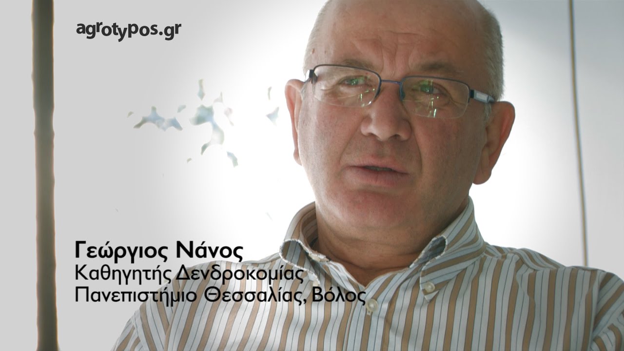 Πώς να διαλέξετε ποικιλία για νέο δενδρώνα