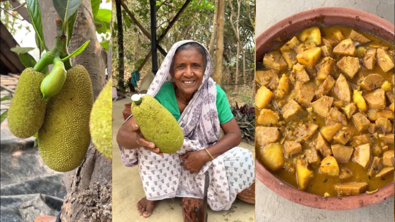 Fresh Green Jackfruit Curry | Picking Tender Jackfruit from Tree & Cooking