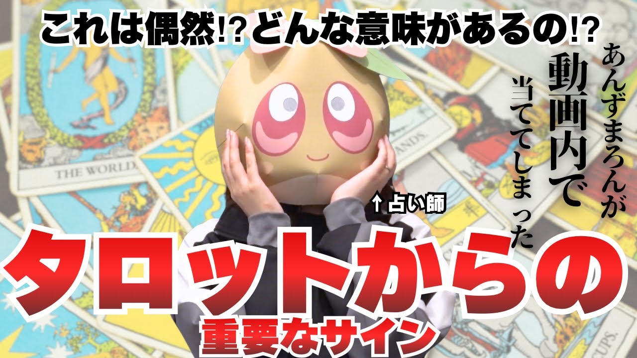 【
