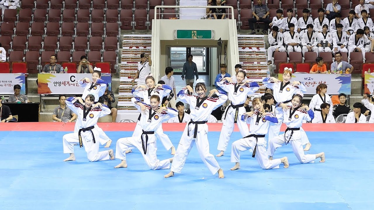 170731 K타이거즈 태권체조 결선 영상 모음 (K-tigers junior Taekwon Aerobic) [세계태권도한마당] by 비몽
