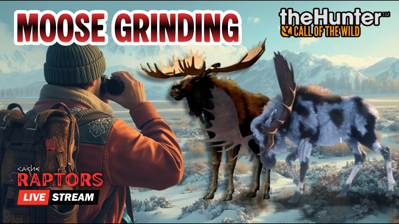 622 Harvests In! Going for LUCKY G1 MOOSE #13! Call of the Wild LIVE