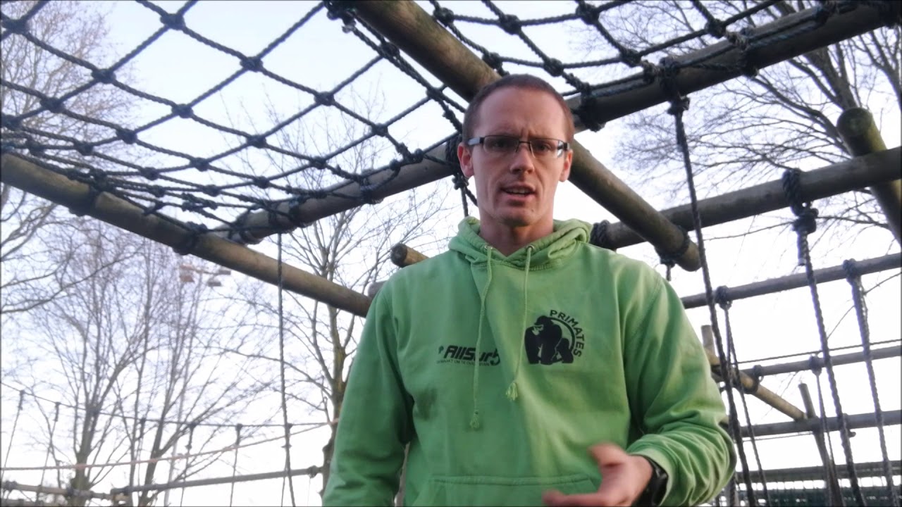 Gouden tip 4 Horizontaal net cheat