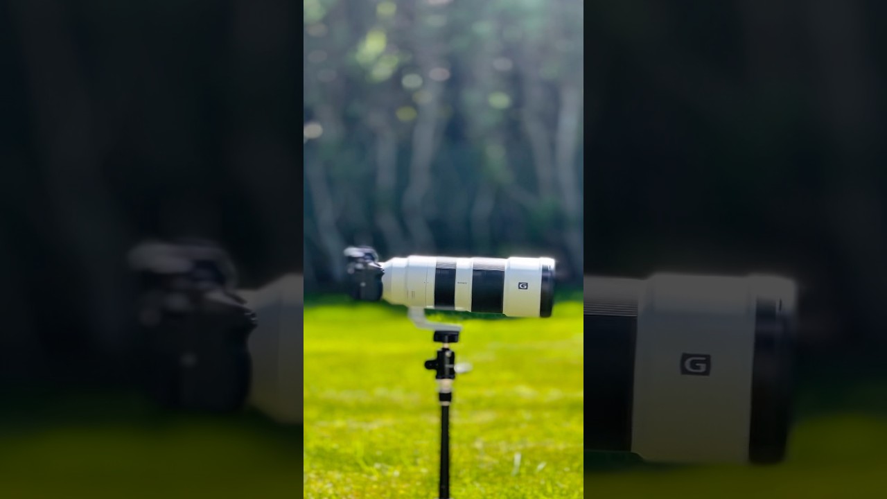New lens reveal. The Sony 200-600mm G OSS