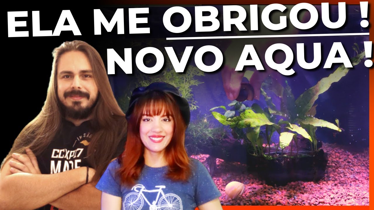 🔴MINHA ESPOSA PERDEU O JUÍZO! MONTOU UM AQUÁRIO DE AMPULÁRIAS. |Mr. Betta|