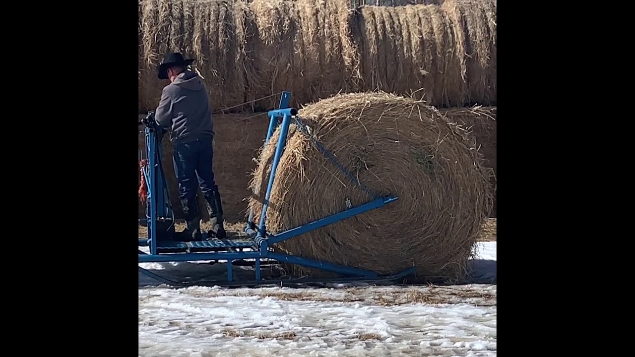 Horse drawn bale unroller
