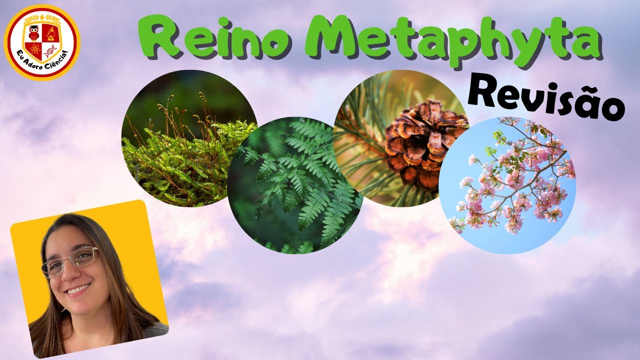 Revisão: Reino Metaphyta (Plantas)
