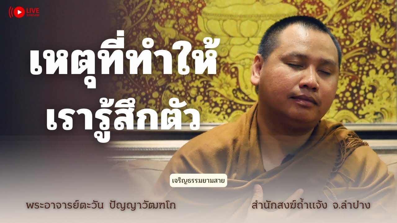 เหตุที่ทำให้เรารู้สึกตัว | พระอาจารย์ตะวัน ปัญญาวัฒฑโก 04 ส.ค. 2568[19:00] ณ บ้านนอกคอกนา จ.เชียงราย