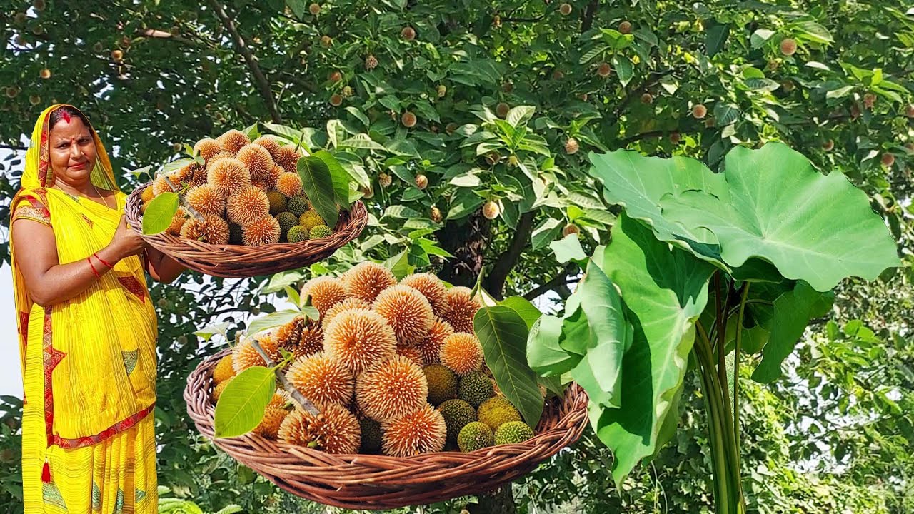 अरबी के पत्तो और कदम की ऐसी रेसिपी बनाओगे तो सब मांग मांग कर खाएगे | pkodi recipe , kadam ki chatni