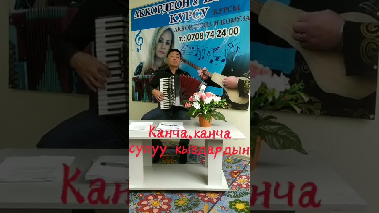 Аккордеон. Караоке. Тамчы шүүдүрүм. Бек Борбиев.