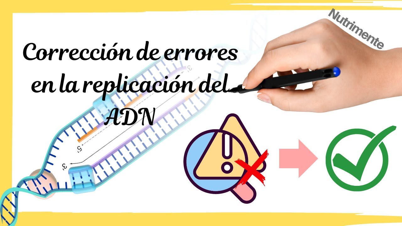 CORRECCIÓN de ERRORES en la REPLICACIÓN del ADN