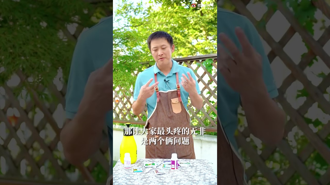 给月季配药太麻烦？记住这个公式就妥了【天狼说月季】