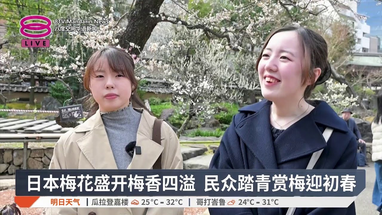 日本梅花盛开梅香四溢 民众踏青赏梅迎初春【2026.02.27 八度空间华语新闻】