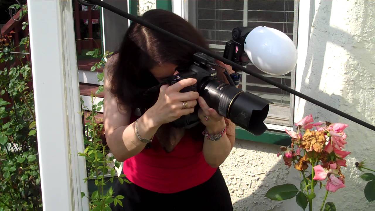 Photography - Shooting Macro - Flowers & Insects (3)