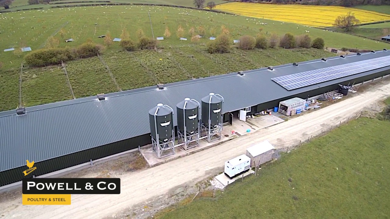 One Free Range Poultry Building in Powys by Powell & Co