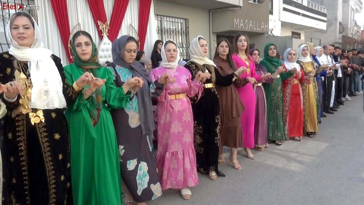 Yok Böyle Düğün - Harika Halay - Kurdish Wedding - Erdal Tofan
