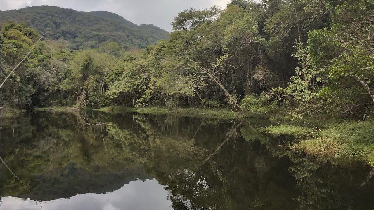 Trilha na Serra do Japi em Jundia&iacute;- SP