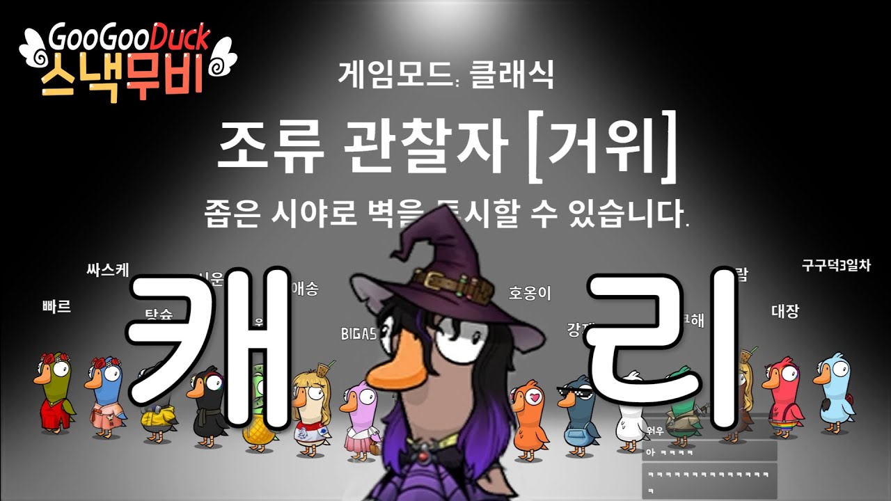갓직업이 된 조류관찰자로 캐리하기 | 바보새