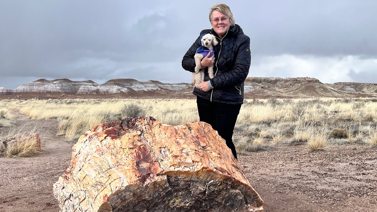 Petrified Forest: The 40-Year Wait That Was Worth It