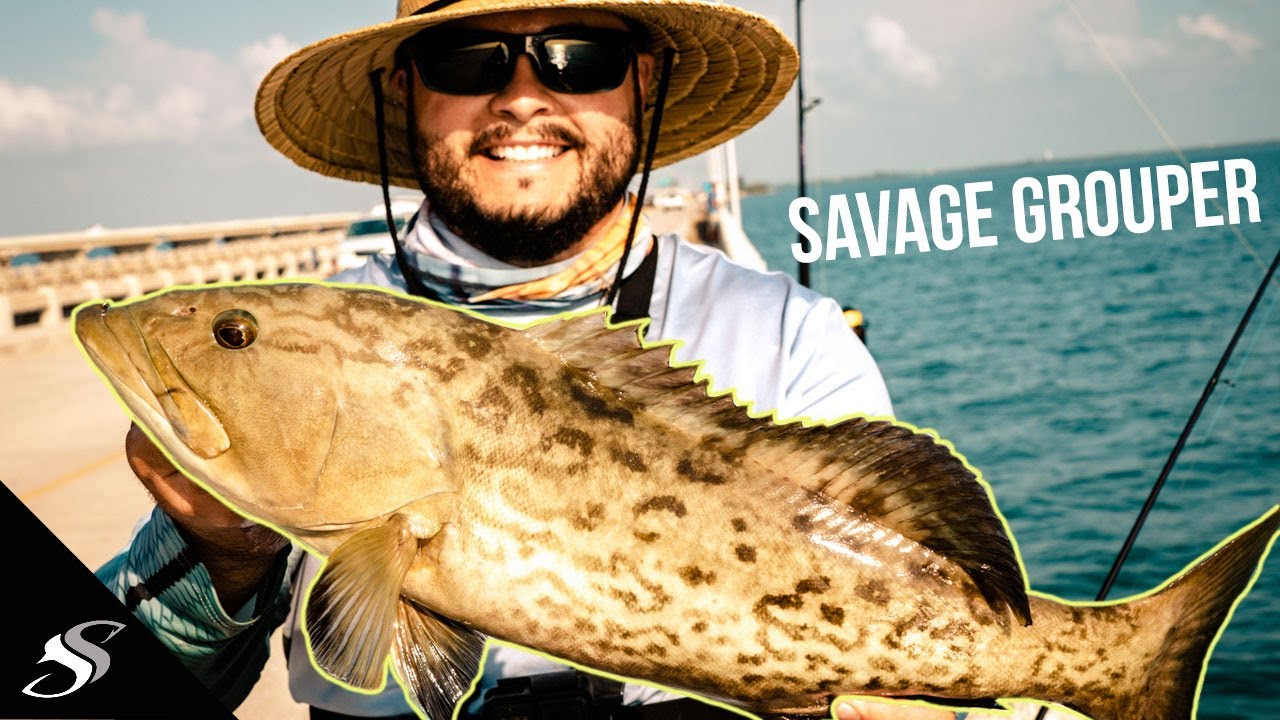 Skyway Pier Grouper Fishing with Light Tackle 😲