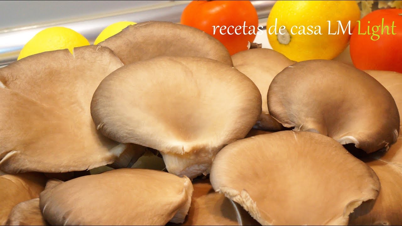 SETAS AL AJILLO RECETA FÁCIL , RÁPIDA recetas de casa LM / LISTAS EN 3 MINUTOS