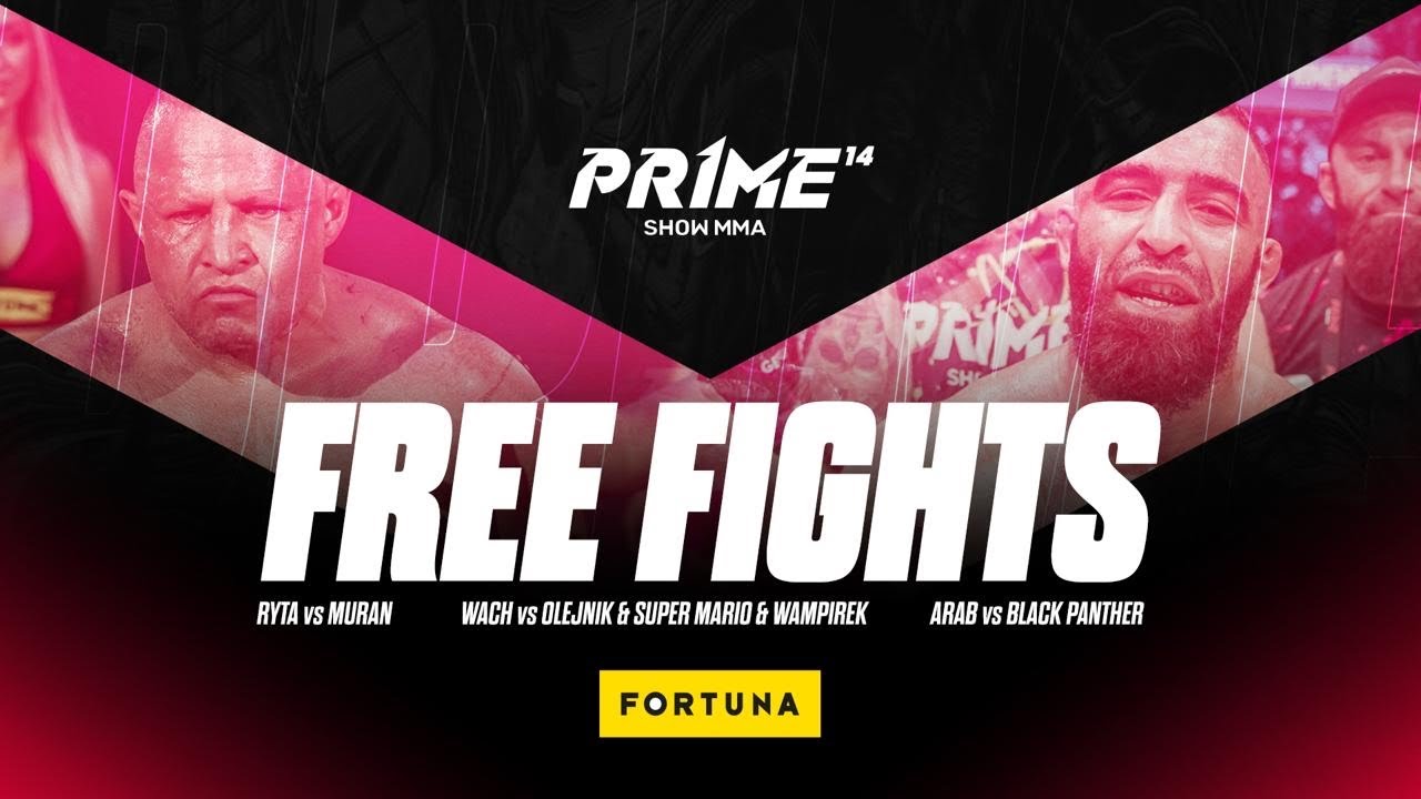 FREE FIGHTS | RYTA VS MURAN, WACH vs OLEJNIK $ WAMPIREK & SUPER MARIO, ARAB VS PANTERA