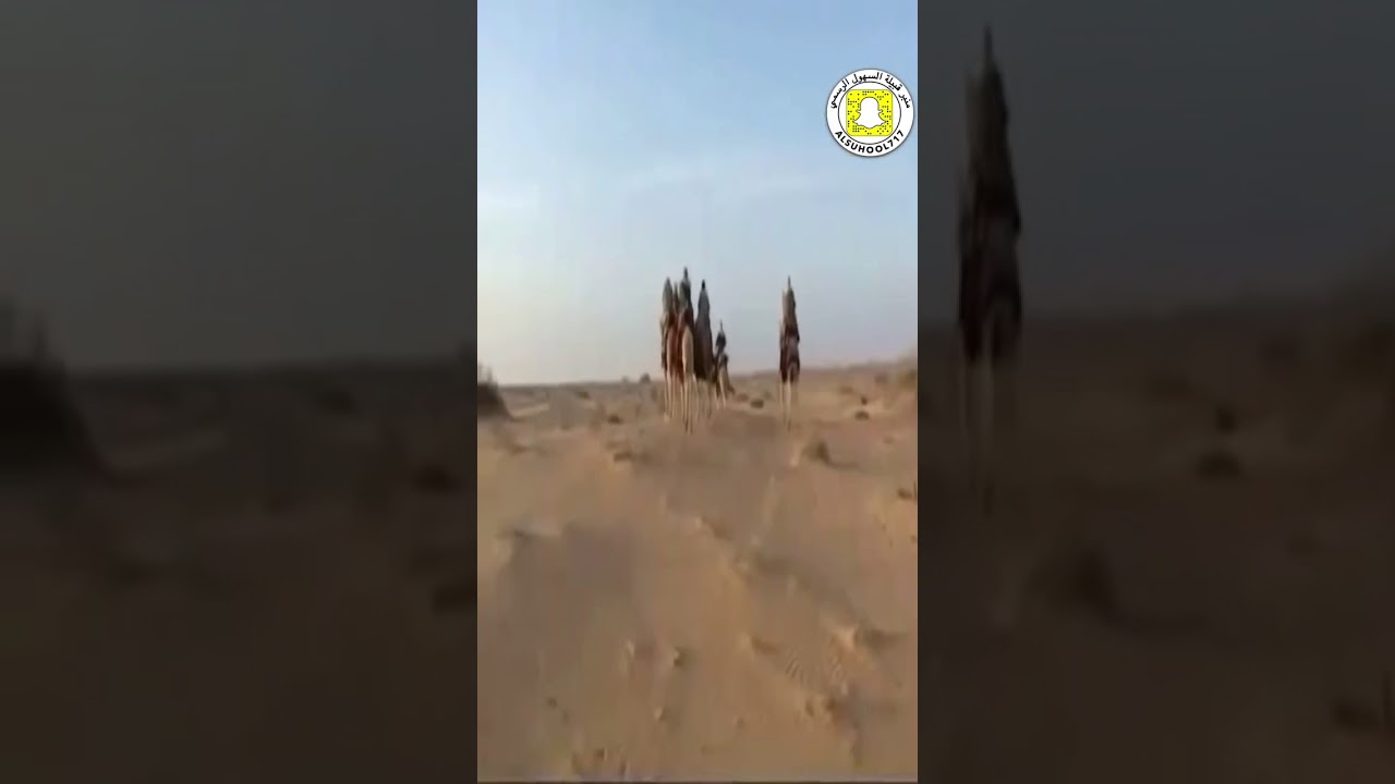 الحلقة الرابعة ( مراكز وقرى قبيلة #السهول ) - مركز حراضه