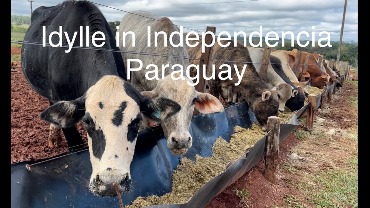 Idylle in Independencia - Paraguay