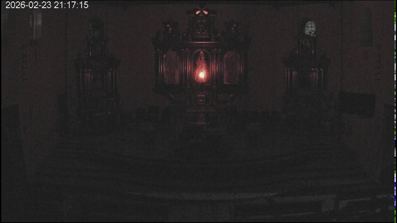 Parafia Świętych Archaniołów Rafała i Michała w Aleksandrowie Łódzkim – transmisja na żywo