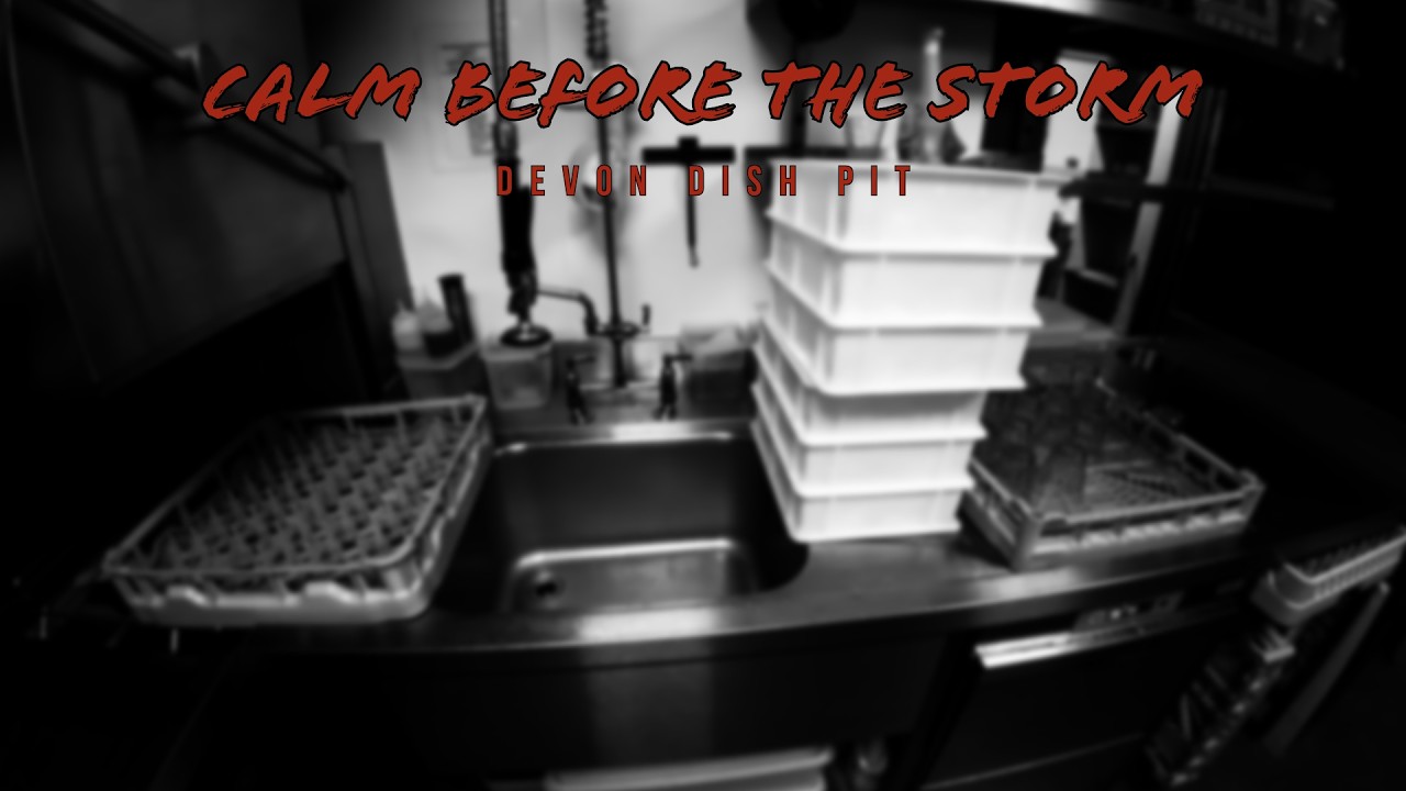 Dishwasher POV #82
