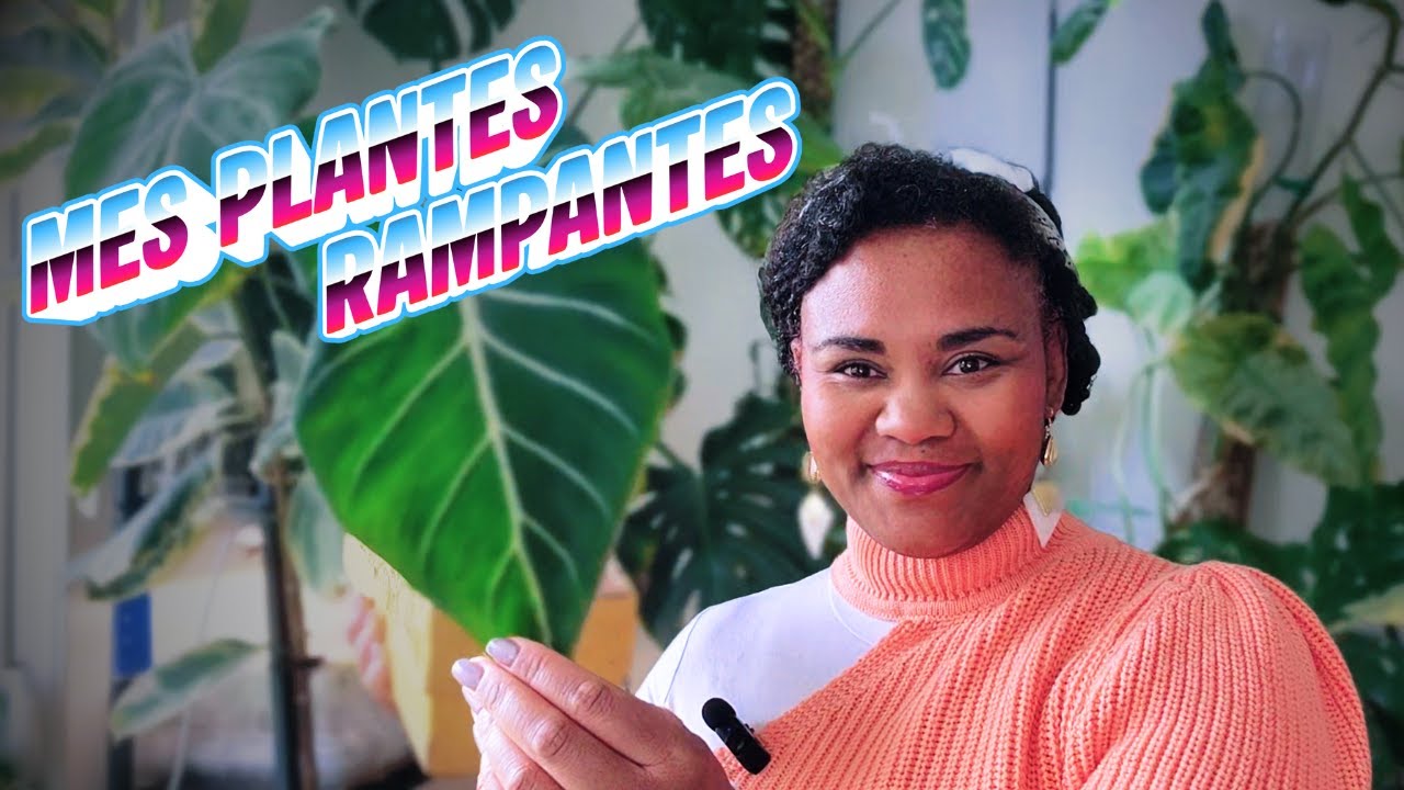 Mes plantes rampantes