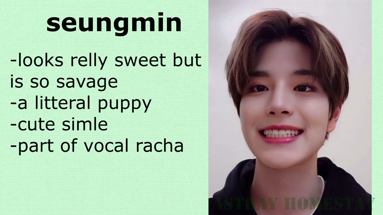 a (fandom jokes) guide to stray kids + all rachas explained