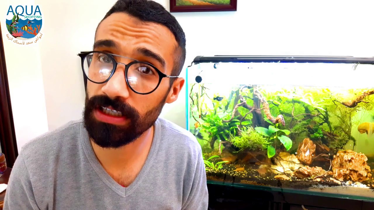 إذا كنت مبتدئ و لا تعلم من أين تبدأ شاهد هذا الفيديو 💪