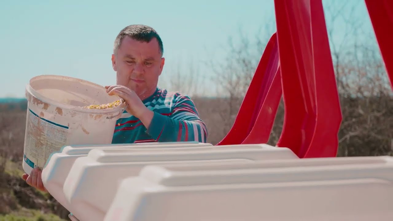 NOVI VIDEO KUKURUZNE SEJALICE HMS U RADU
