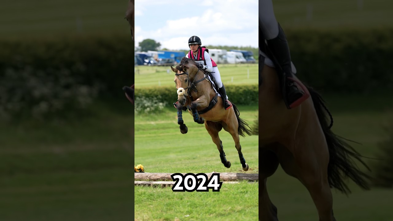 Can&rsquo;t believe the difference | Then Vs Now 🥹 #shorts #horses #younghorse #equestrian
