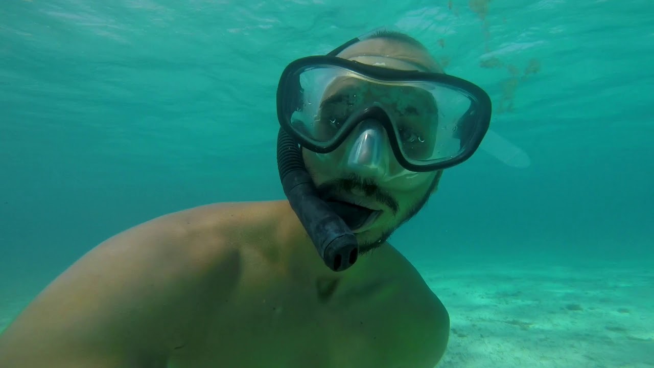 10 | Mergulhando com tartarugas em Tobago Cays - Um paraíso no Caribe!