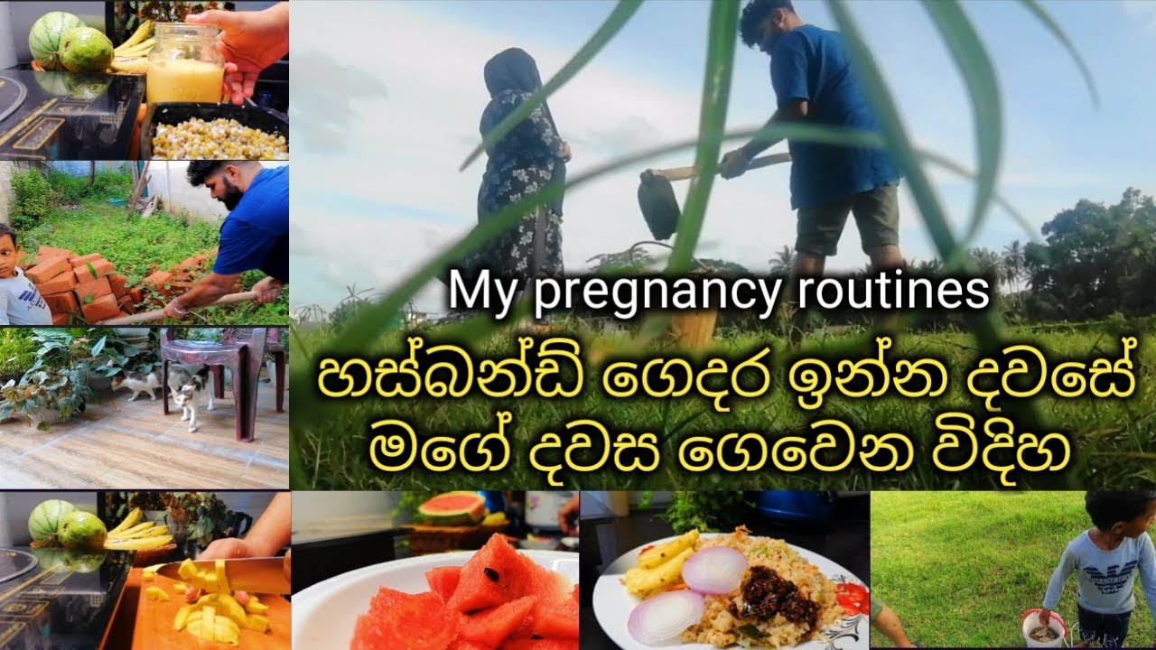 My pregnancy routines/easy fried rice recipy/chilli paste recipy/mango milkshake