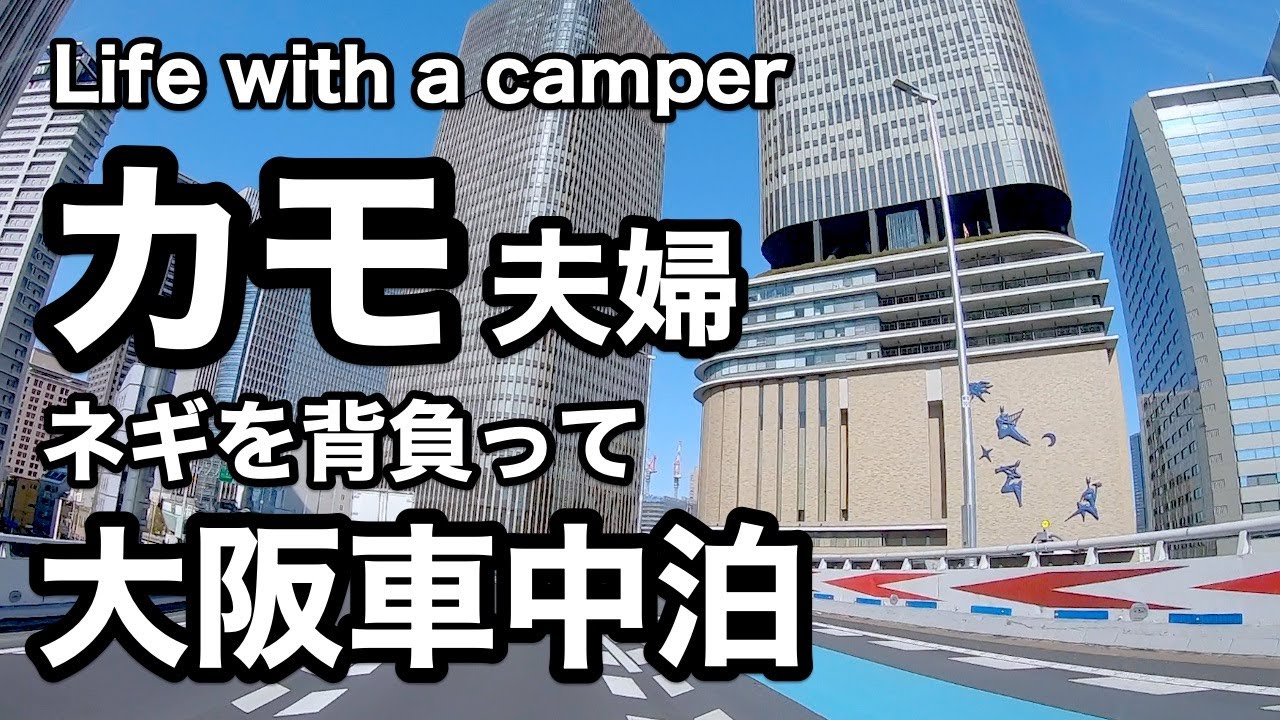【中古キャンカー】大阪で海鮮車中泊｜泉佐野漁協市場｜簡単3分海鮮ユッケレシピ｜ぴちぴちビーチ｜道の駅みさき